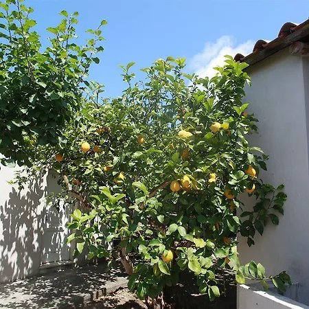 Agriturismo Il Vitigno 2* Forio (Isola d'Ischia)