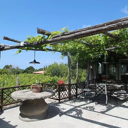 Hotel Agriturismo Il Vitigno Forio (Isola d'Ischia)