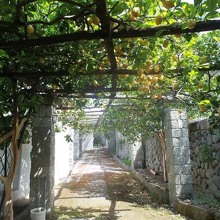 Hotel Agriturismo Il Vitigno Forio (Isola d'Ischia)