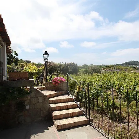 Hotel Agriturismo Il Vitigno