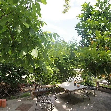 Hotel Agriturismo Il Vitigno