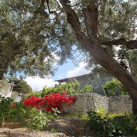 Agriturismo Il Vitigno Hotel