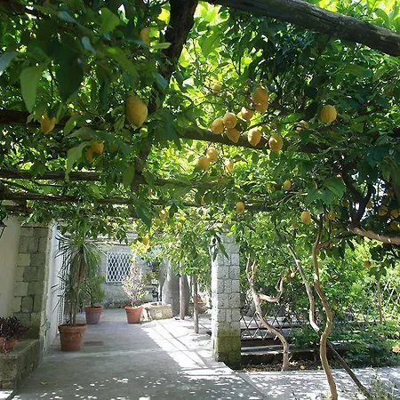 Agriturismo Il Vitigno Hotel